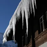 Auberge de jeunesse Youth Grindelwald