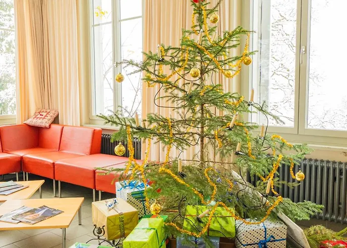 Auberge de jeunesse Youth *