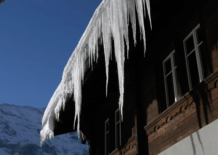 Auberge de jeunesse Youth Grindelwald