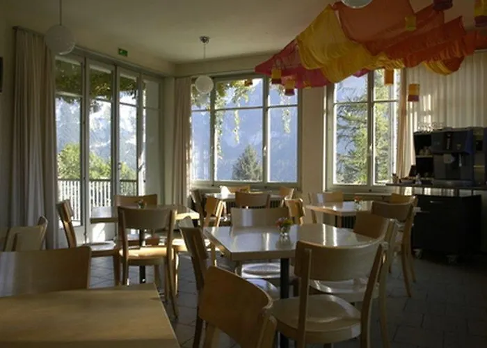 Auberge de jeunesse Youth