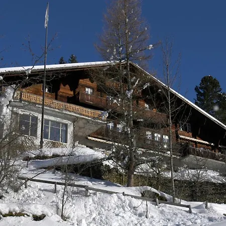 Albergue Youth *
